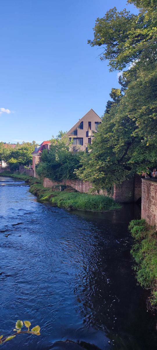 Photographer Tercis, Weather Photos in Ettlingen - Weawow