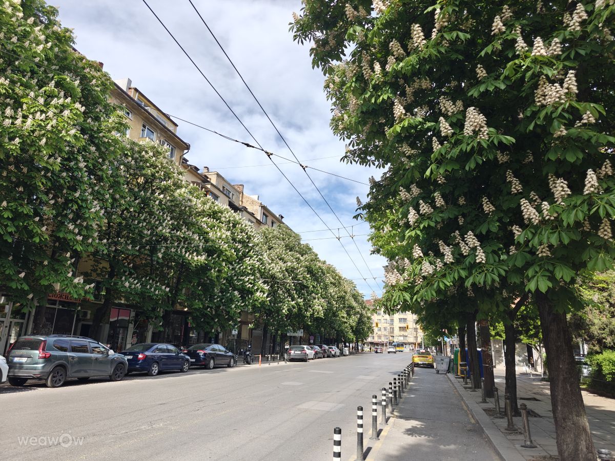 Weather Photos in Sofia-Capital. Weather forecasts with beautiful photos by Rosiii