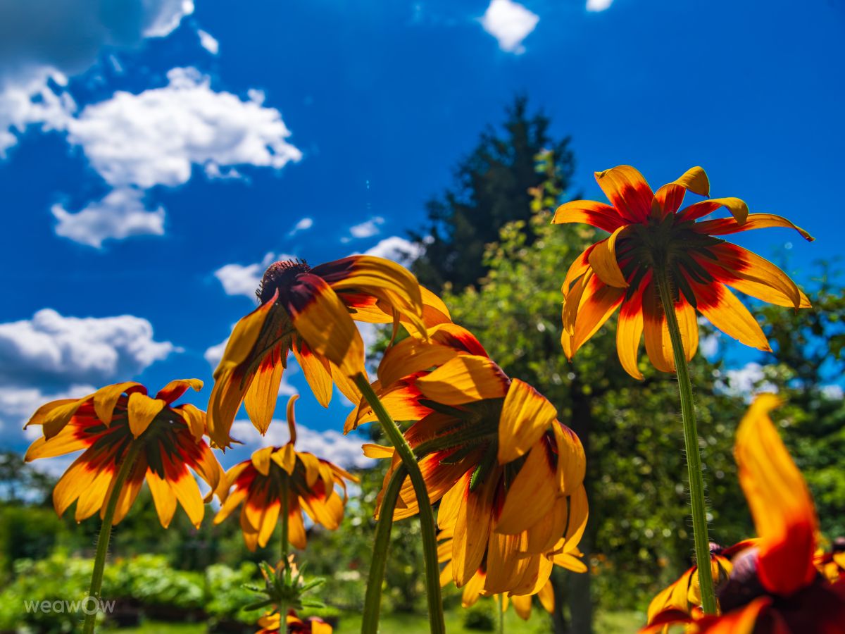Fotos sobre el clima en Mundo. Pronósticos del tiempo con hermosas fotos de czach