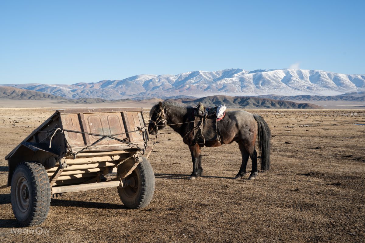 Weather Photos in Mongolia. Weather forecasts with beautiful photos by mary_bell_photo