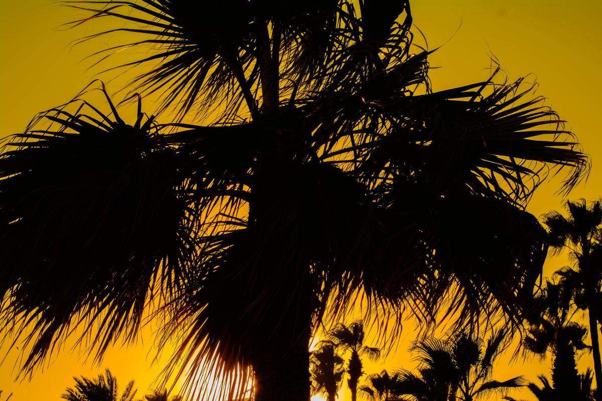 Weather Photos in Tunisia. Weather forecasts with beautiful photos by Semirphotograf