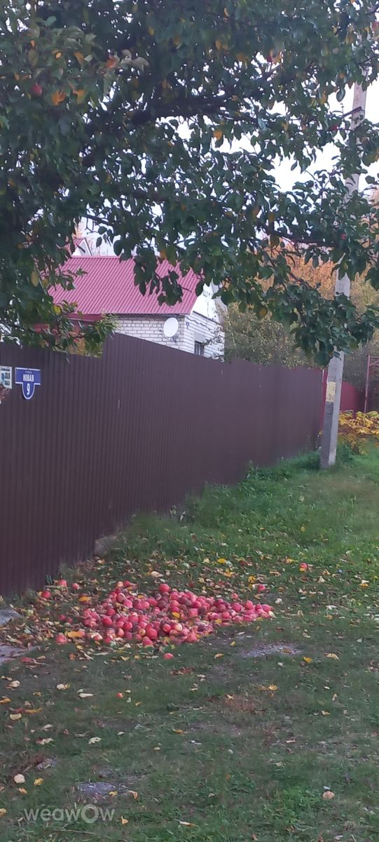 Wetter Photos Sassowo. Wettervorhersagen mit schönen Fotos von Djon