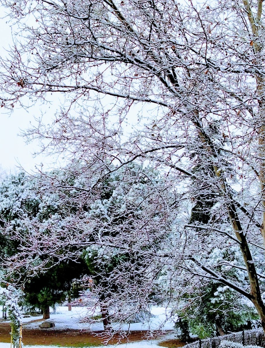Photographer MarcosCidDaly, Weather Photos in Madrid - Weawow