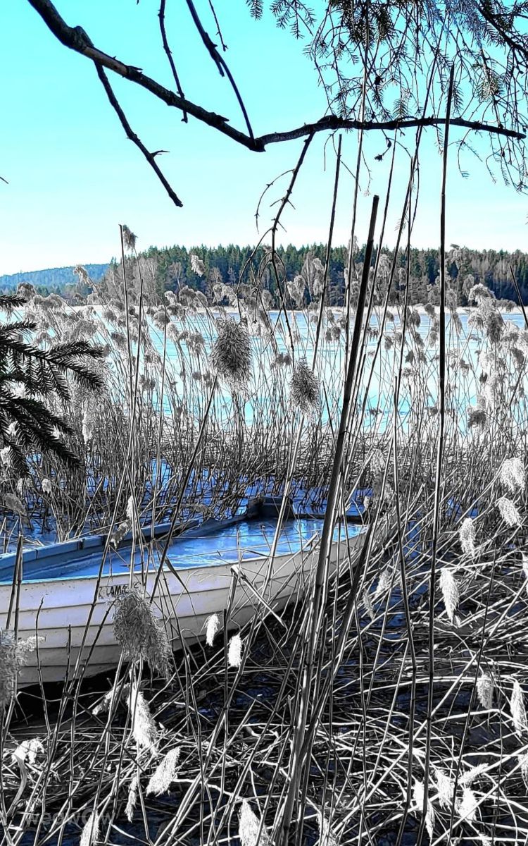 Weather Photos in Isesjøen. Weather forecasts with beautiful photos by Pietro Cici