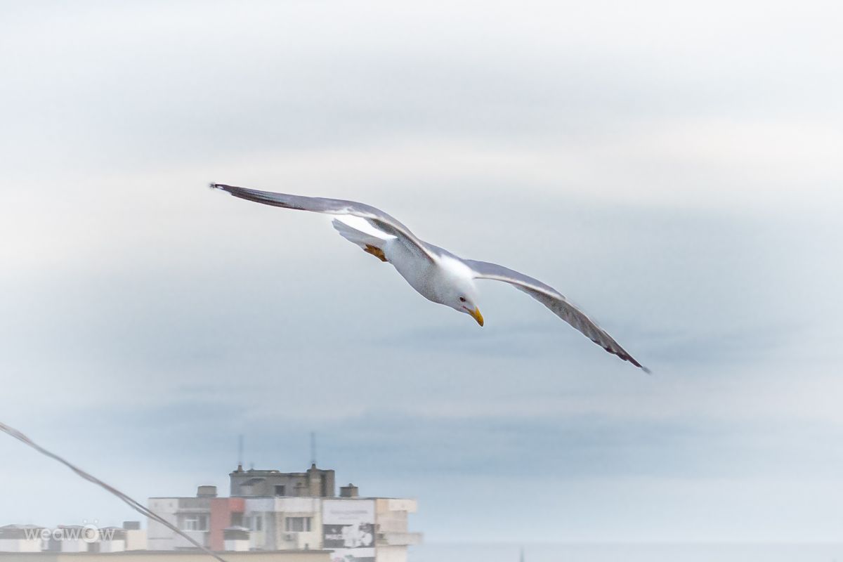 Weather Photos in Varna. Weather forecasts with beautiful photos by BozhanaStoeva6