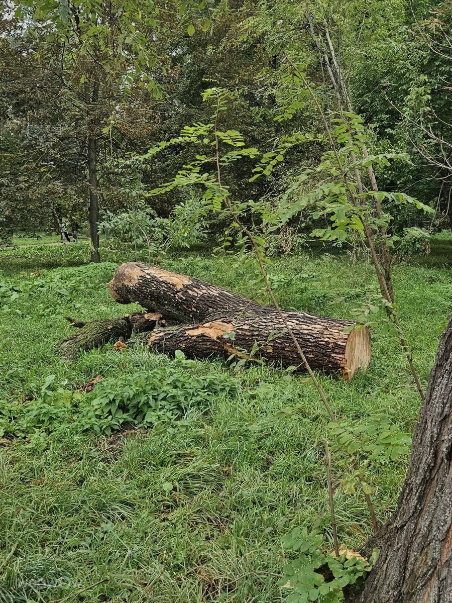 Фотографии Погоды в Киев. Прогнозы погоды с чудесными фотографиями, сделанными Федір Літвін
