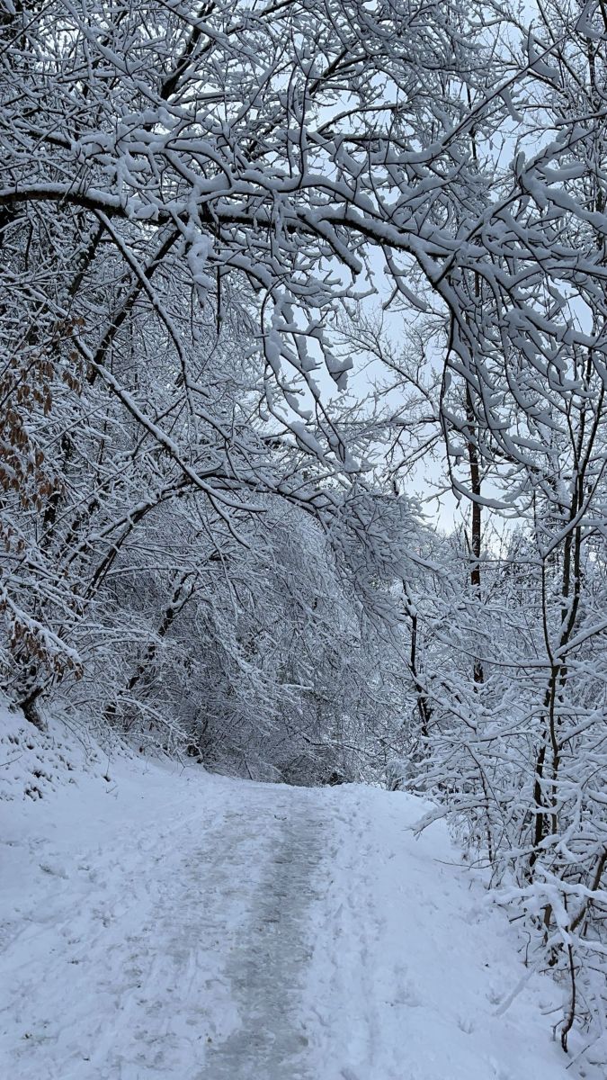 Фотографии Погоды в Bankya. Прогнозы погоды с чудесными фотографиями, сделанными Lili_Novoselska