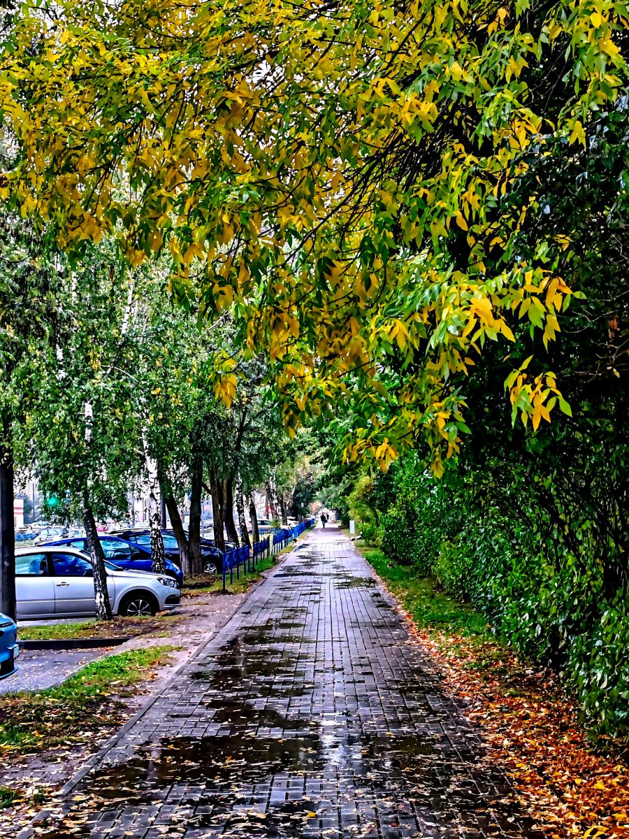 Weather Photos in Minsk. Weather forecasts with beautiful photos by ShiLoviCh