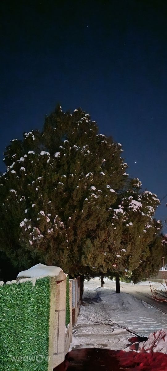 Weather Photos in Serbia. Weather forecasts with beautiful photos by dacooff