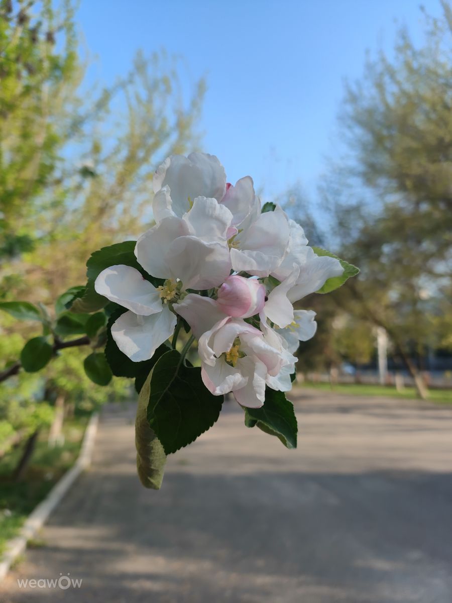 Weather Photos in Uzbekistan. Weather forecasts with beautiful photos by A_Varjat