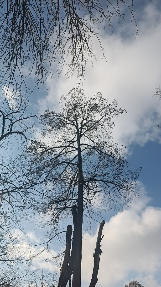 Fotógrafo YanBog, Fotos sobre el clima en București - Weawow
