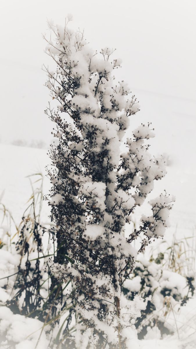 Weather Photos in Úvaly. Weather forecasts with beautiful photos by George Popo