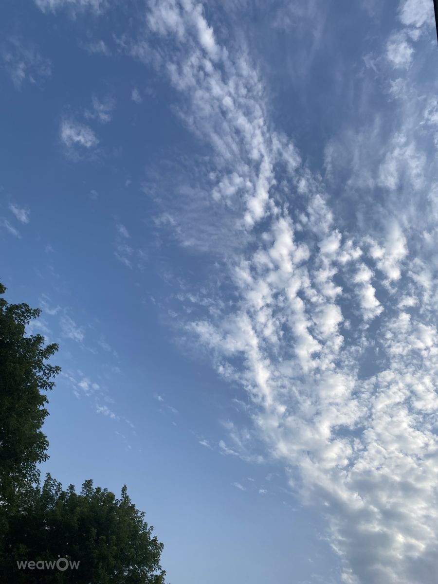 Photos météo à le Plateau. Prévisions météo avec de superbes photos de Lulu5523