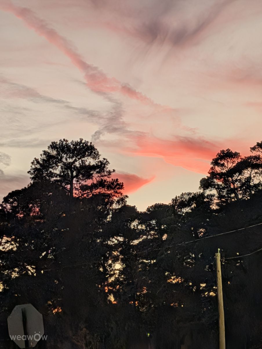 路易斯安那州的天气照片. 天气预报，带Lisa1972精美的照片