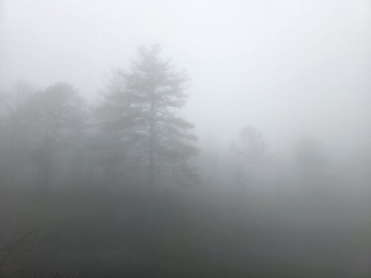 天气预报，带Realwildwom精美的照片