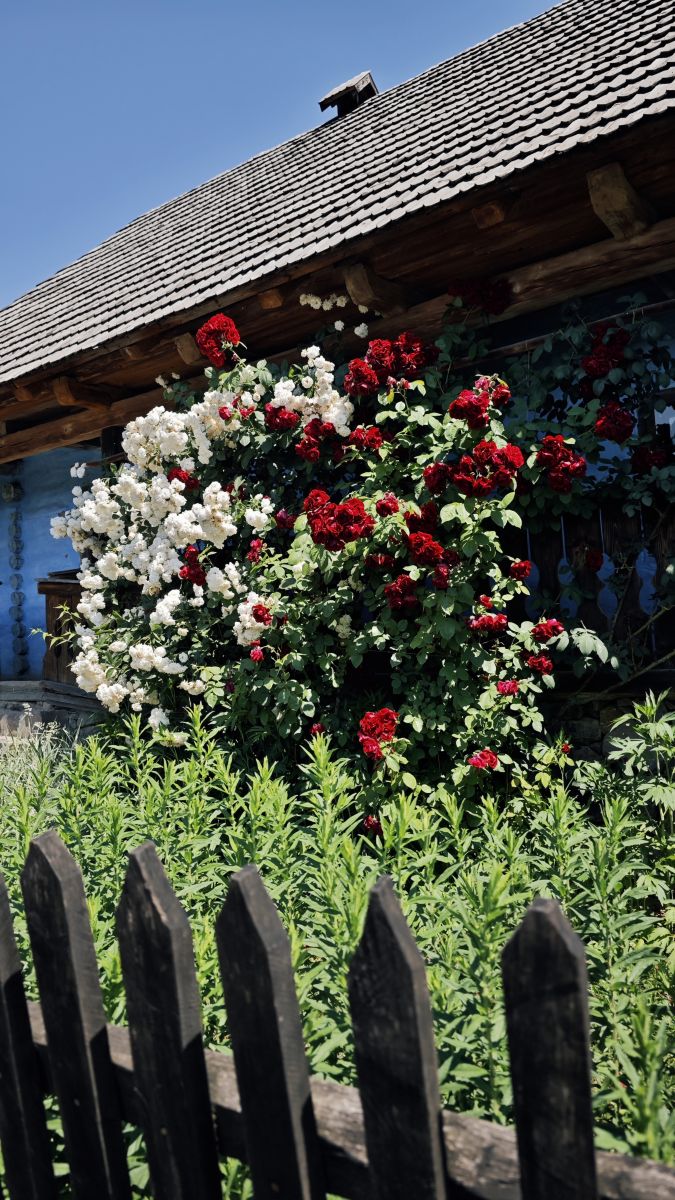 Fotos do tempo em Ucrânia. Previsões do tempo com lindas fotos de Synieok