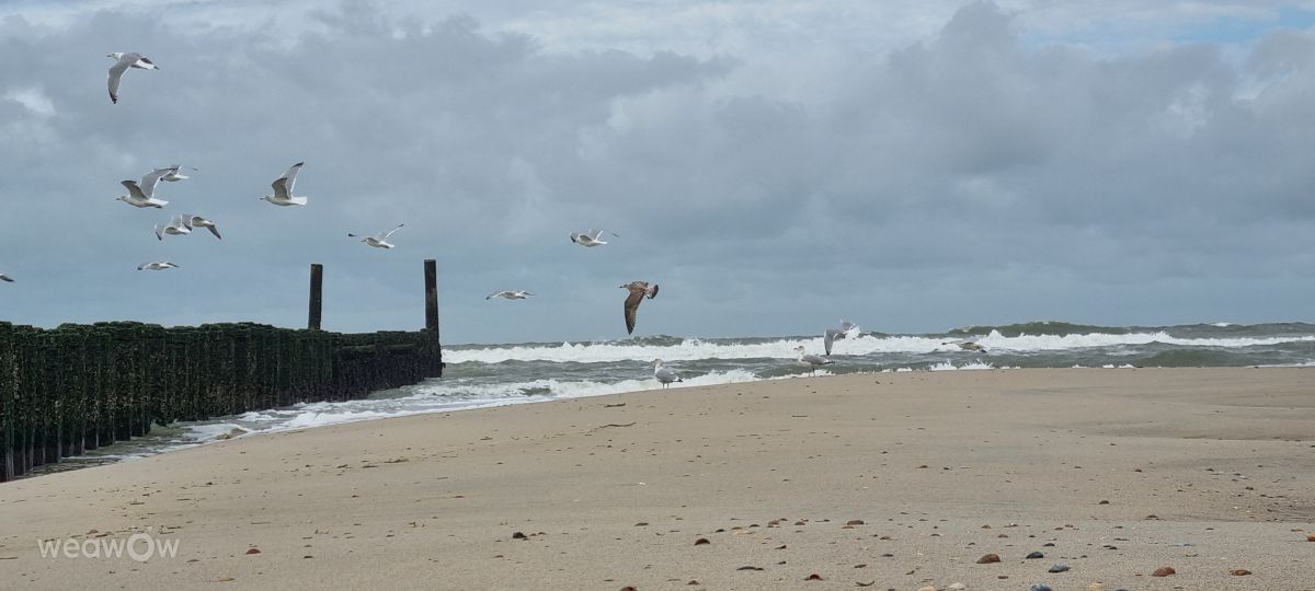 Photographer DaB, Weather Photos in Domburg, Schelpweg - Weawow