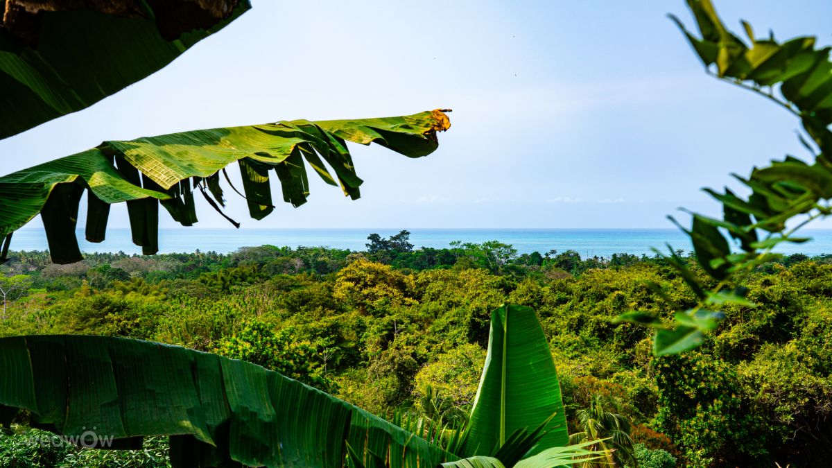 Fotos sobre el clima en Colombia. Pronósticos del tiempo con hermosas fotos de vlobes