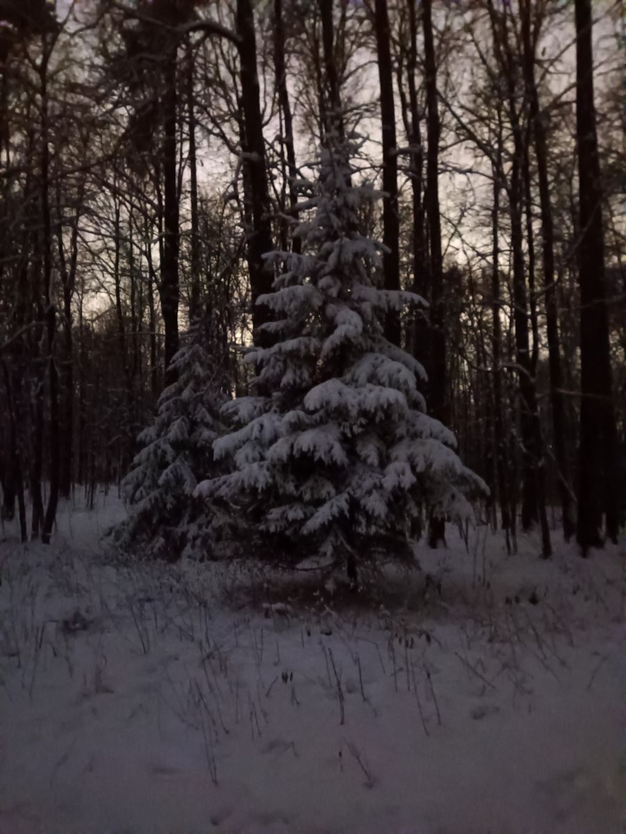 Photographer Amanda_and_Valdemar_Che, Weather Photos in Izmaylovo District - Weawow