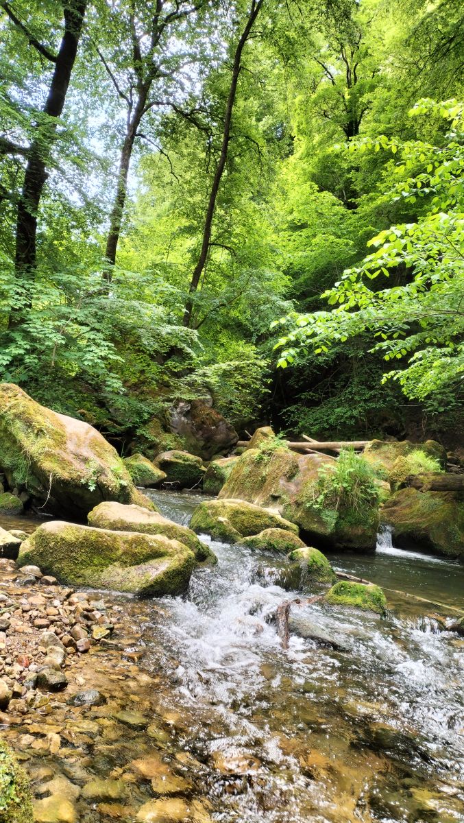 Weather forecasts with beautiful photos by Chantal Kao