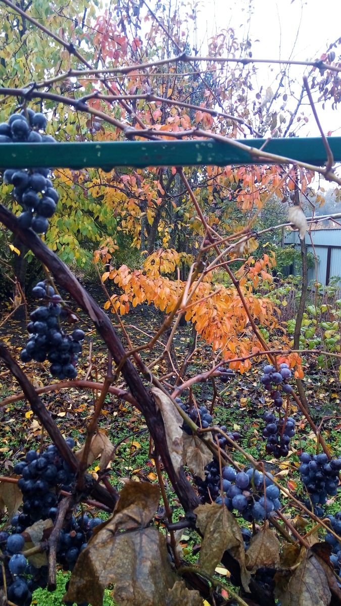 Weather Photos in Krasnodar Krai. Weather forecasts with beautiful photos by Aldabair