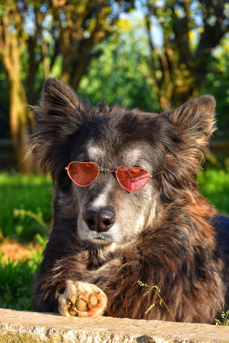 Wetter Photos Griechenland. Wettervorhersagen mit schönen Fotos von Angeldadae