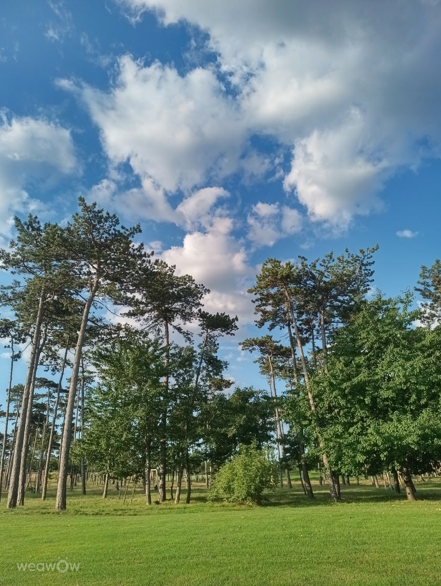 Photographer Kripo, Weather Photos in Oberwaltersdorf - Weawow