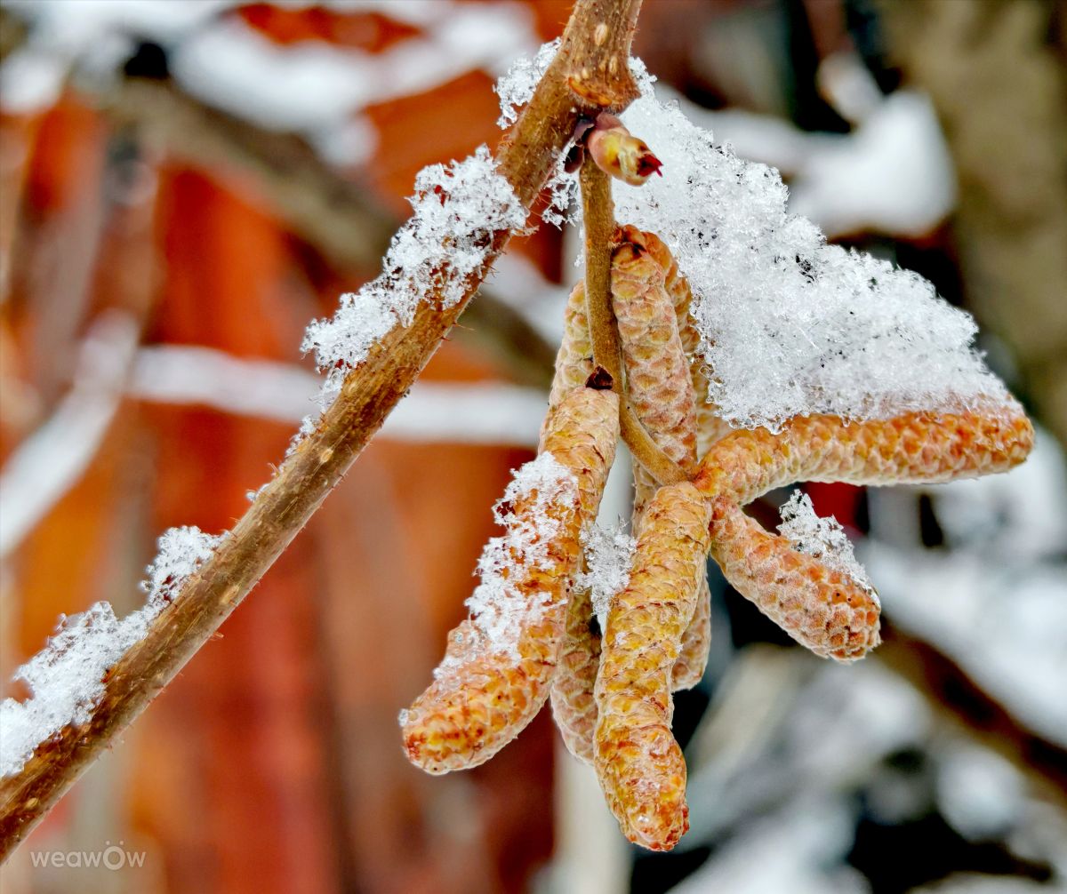 Weather Photos in Prahova. Weather forecasts with beautiful photos by Bley64