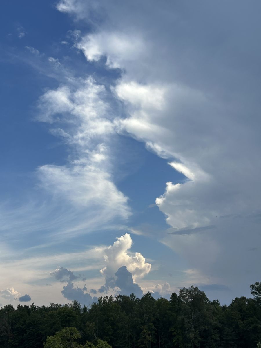 Wettervorhersagen mit schönen Fotos von AndyT