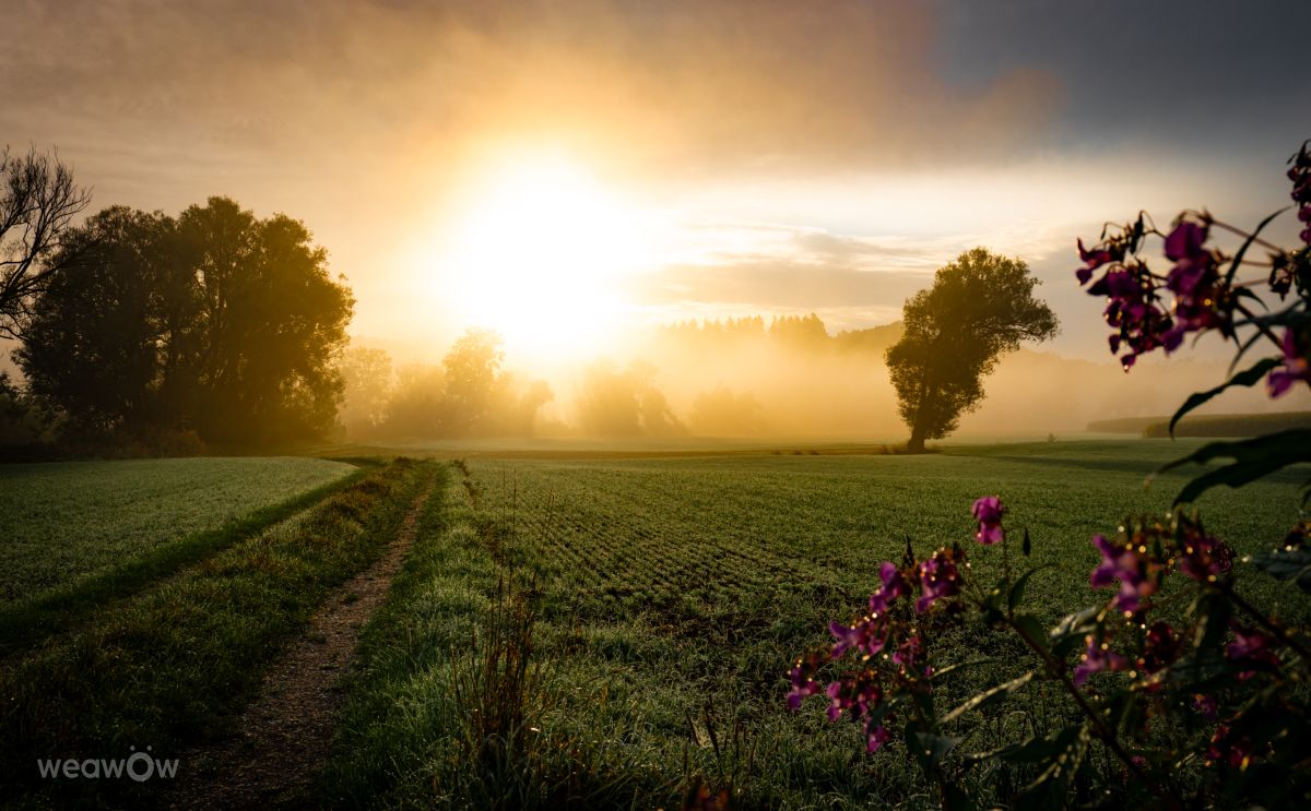 Fotos do tempo em Kranzberg. Previsões do tempo com lindas fotos de Li-Bro