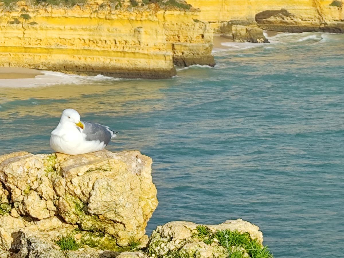 Фотографии Погоды в Benagil. Прогнозы погоды с чудесными фотографиями, сделанными Brtd