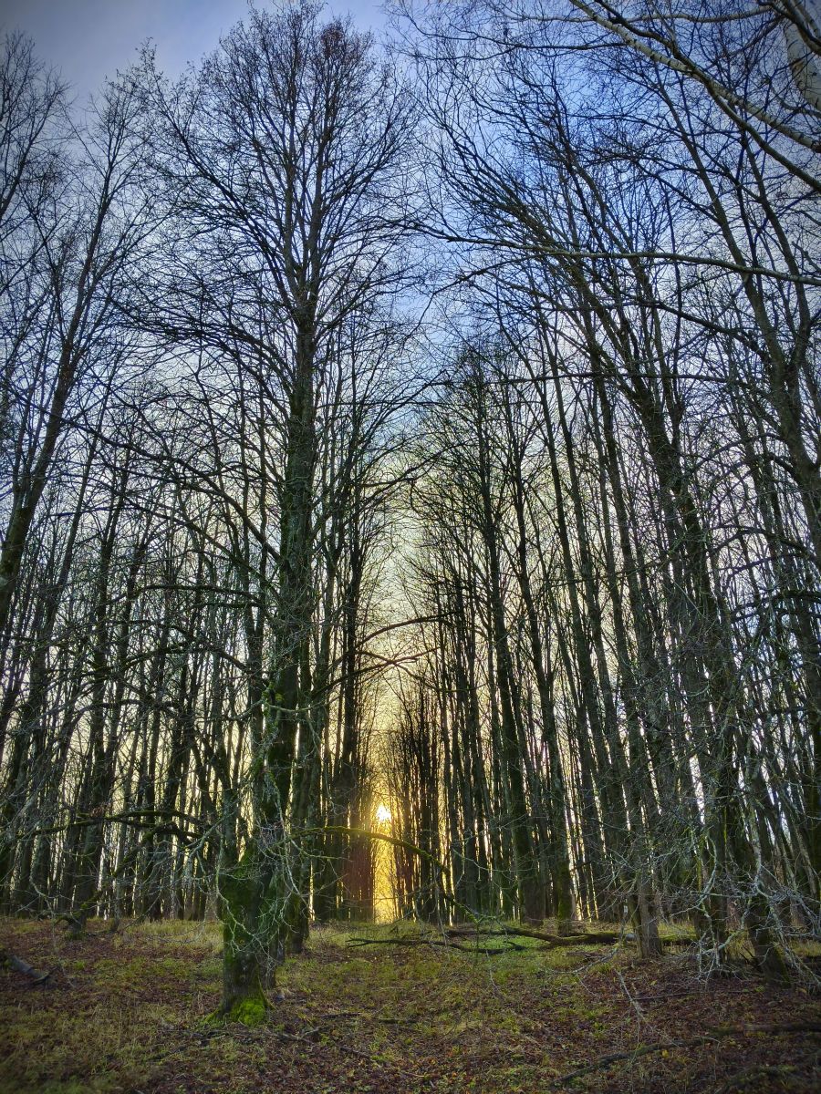 摄影师 Aleksei，Yasnaya Polyana的天气照片 - Weawow