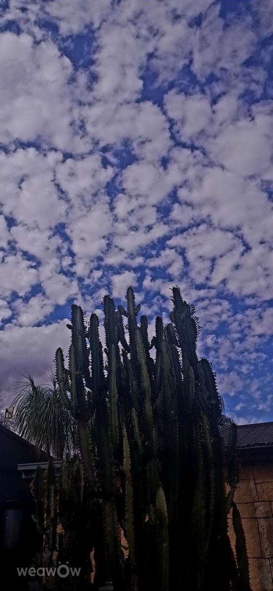 Фотографии Погоды в Фрейбурга. Прогнозы погоды с чудесными фотографиями, сделанными SVorster