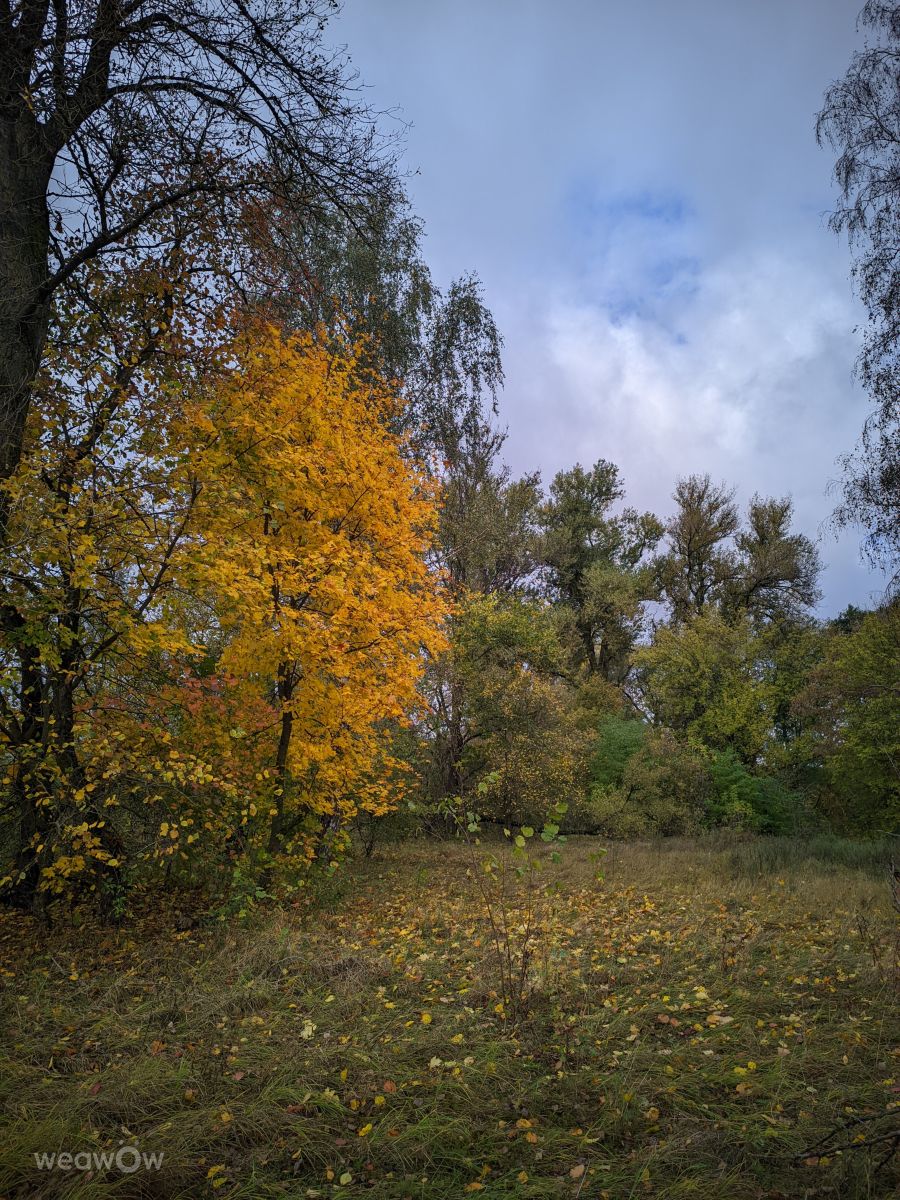 Weather Photos in Chernihiv. Weather forecasts with beautiful photos by Siverjanyn