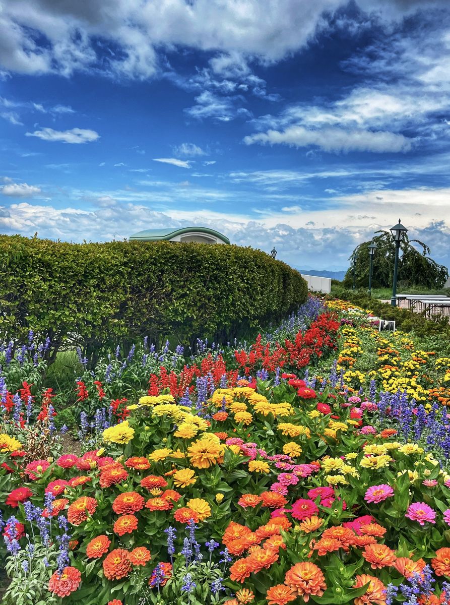 Weather Photos in Saku-shi. Weather forecasts with beautiful photos by Kasumisou