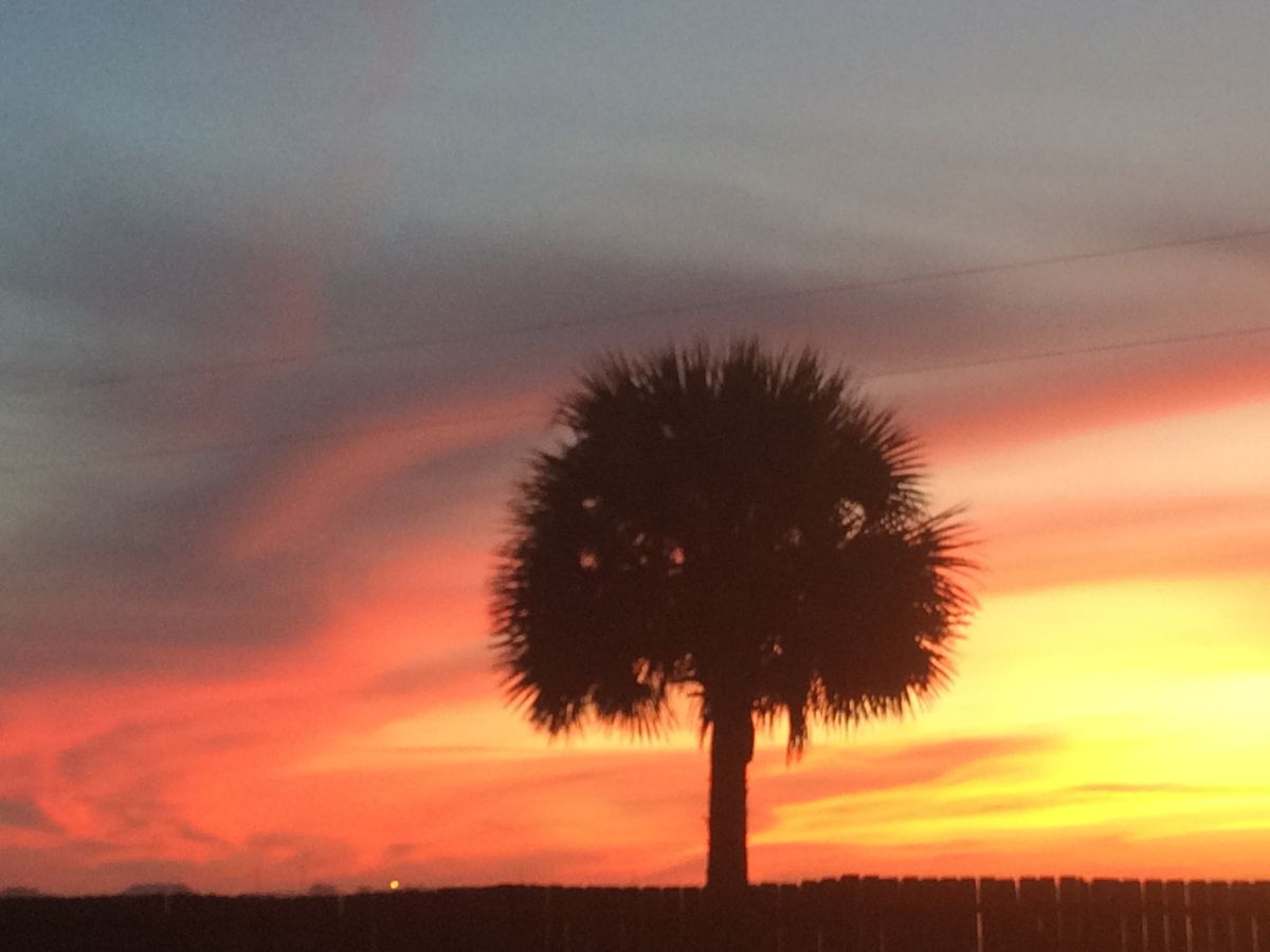 亚拉巴马州的天气照片. 天气预报，带Lazybean精美的照片