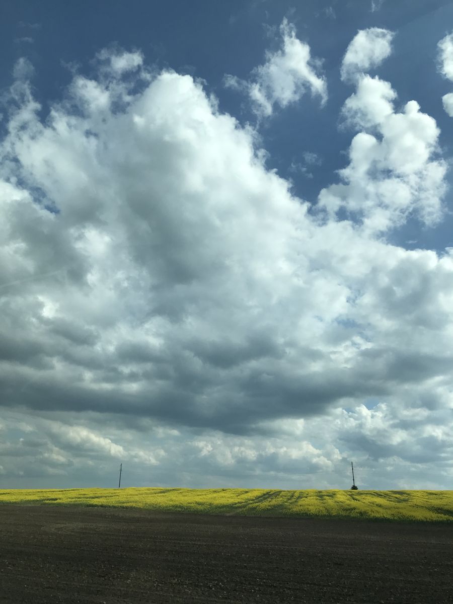 Fotos sobre el clima en Sovetsk. Pronósticos del tiempo con hermosas fotos de set479