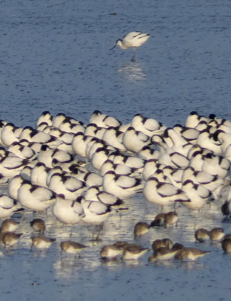 Фотограф fwerner, Фотографии Погоды в Dangast - Weawow