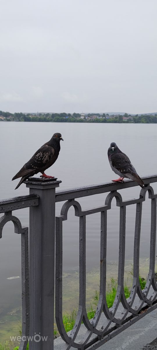 Photos météo à Nizhny Tagil. Prévisions météo avec de superbes photos de Dari