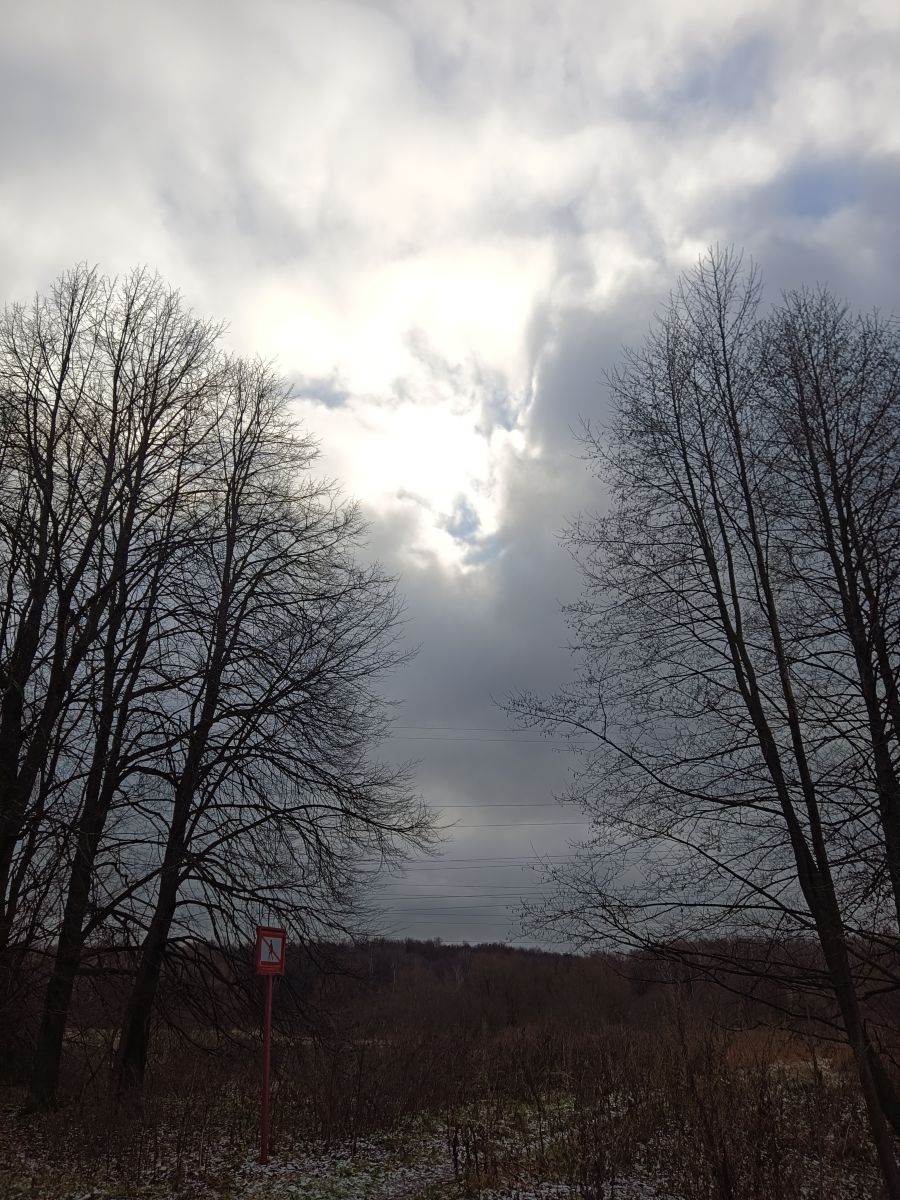 Photographer Amanda_and_Valdemar_Che, Weather Photos in Izmaylovo District - Weawow