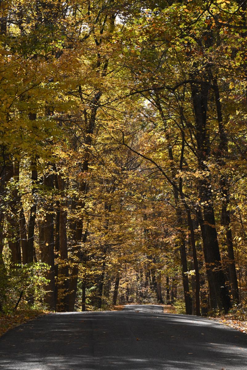Photographer krantzjh, Weather Photos in Clifty Falls State Park - Weawow