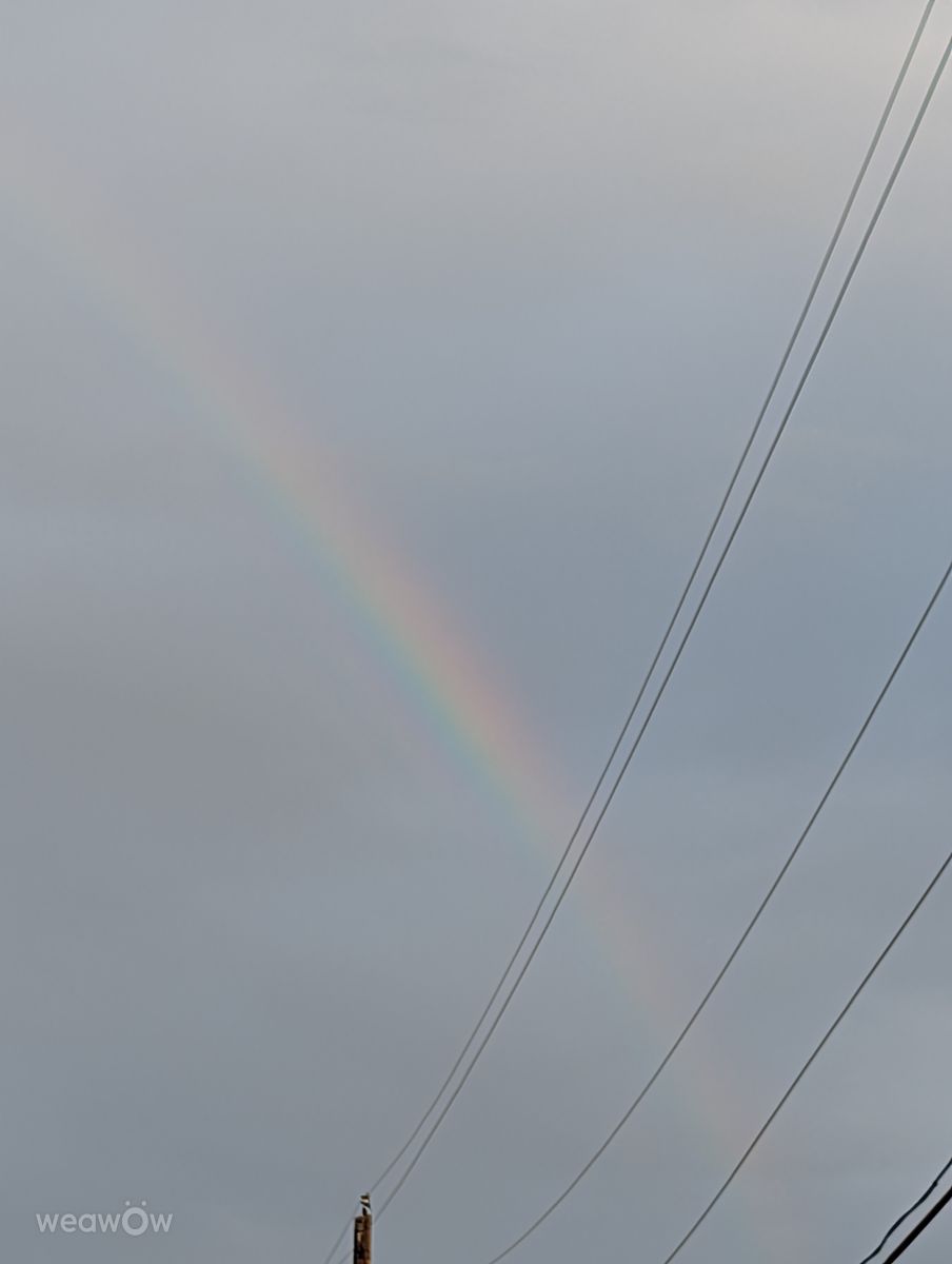 路易斯安那州的天气照片. 天气预报，带Lisa1972精美的照片