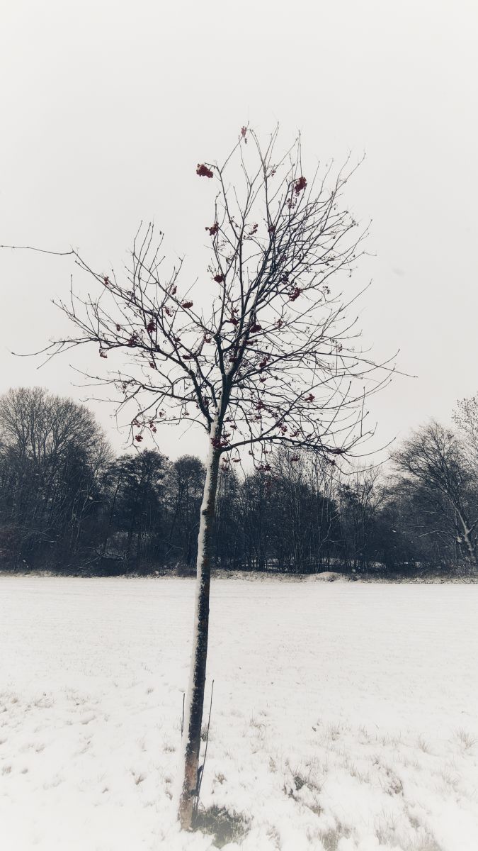 Weather Photos in Úvaly. Weather forecasts with beautiful photos by George Popo