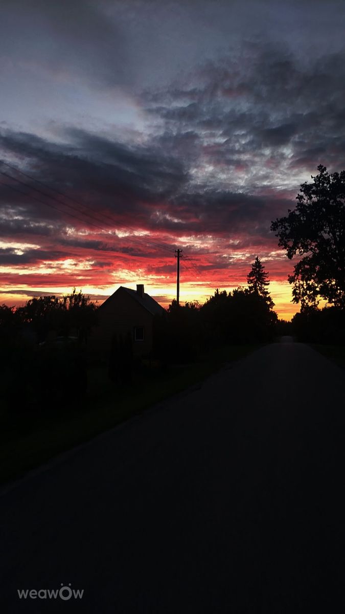 Photos météo à Kaunas. Prévisions météo avec de superbes photos de Katytea