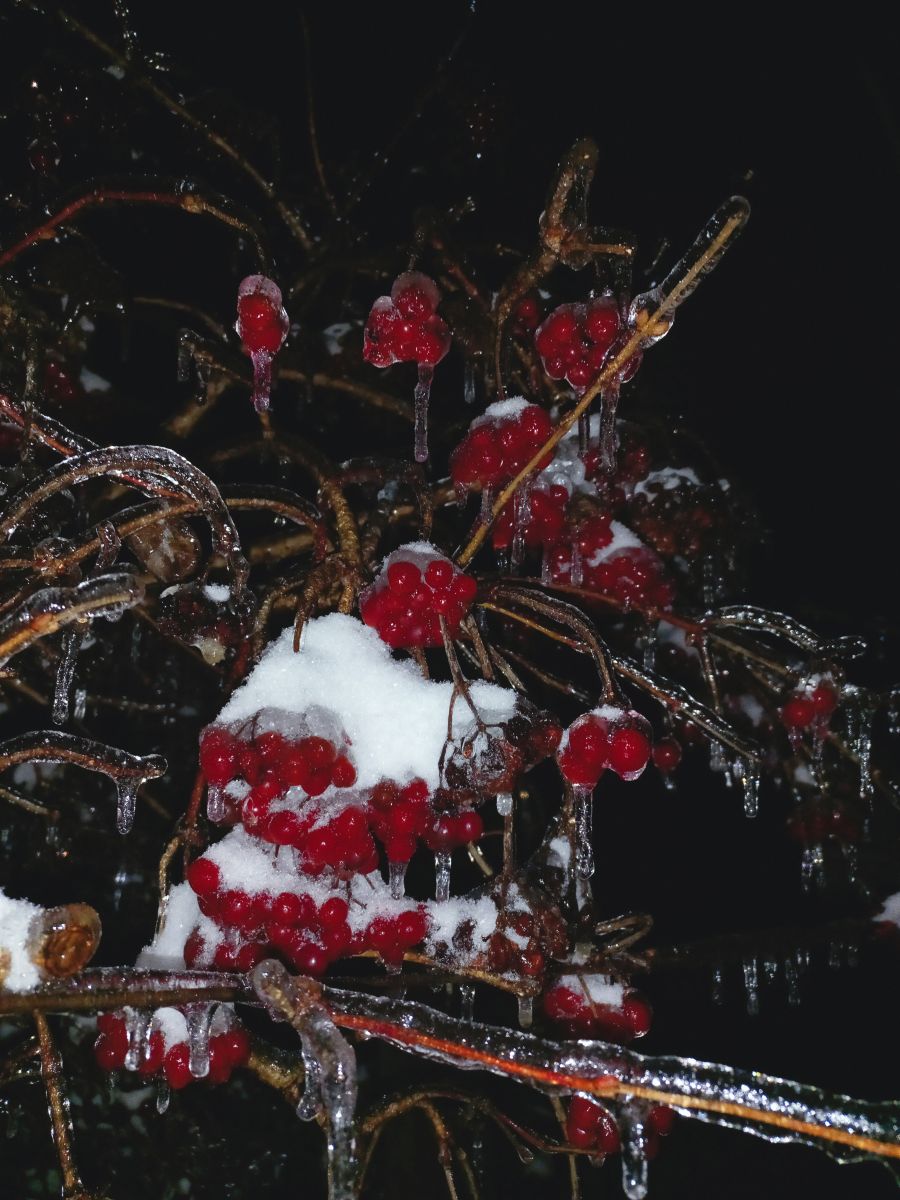 Прогнозы погоды с чудесными фотографиями, сделанными teplota