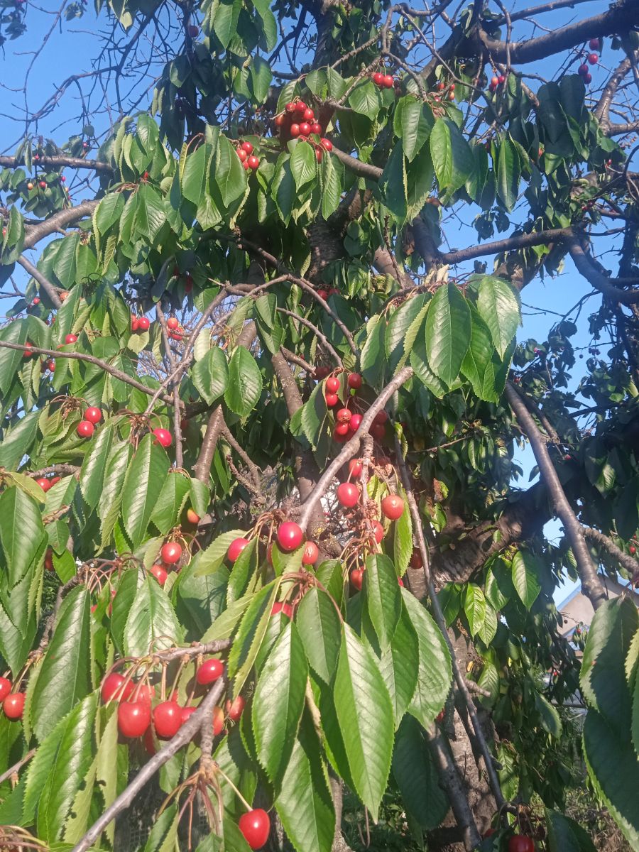 Fotos do tempo em Odesa. Previsões do tempo com lindas fotos de Oleg Bermas