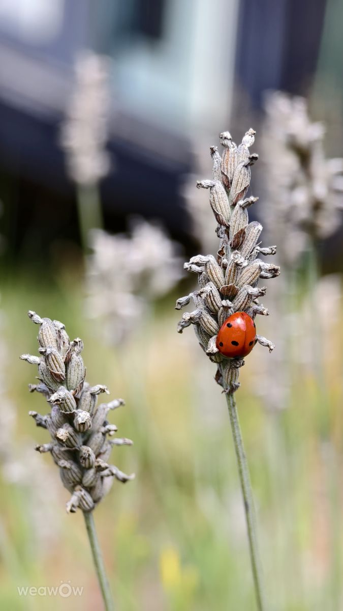 Photos météo à Bihor. Prévisions météo avec de superbes photos de MakiCami