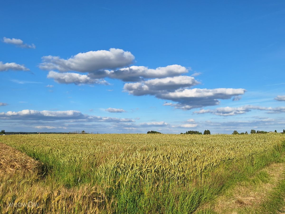 Weather Photos in Luxembourg. Weather forecasts with beautiful photos by lremmy