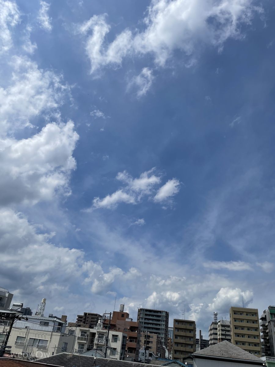 Fotos sobre el clima en Mundo. Pronósticos del tiempo con hermosas fotos de あさのジジ