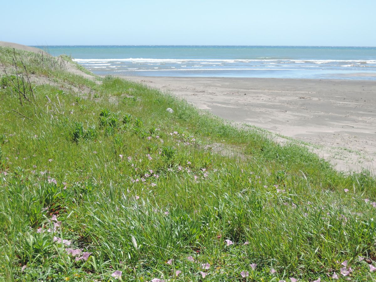 Weather Photos in Chiba. Weather forecasts with beautiful photos by yurumazi